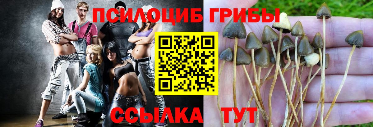 Псилоцибиновые грибы мухоморы Хабаровск