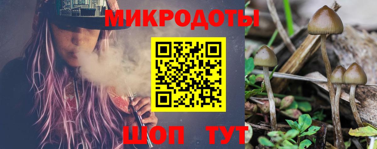 Псилоцибиновые грибы Psilocybine cubensis  Вход с VPN  где можно купить   Хабаровск 
